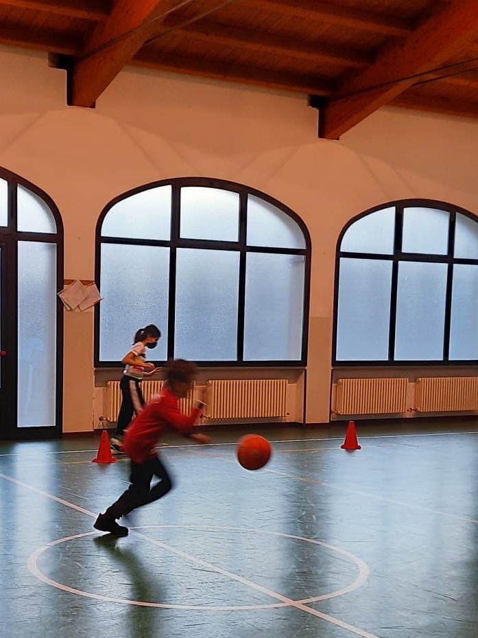 palestra