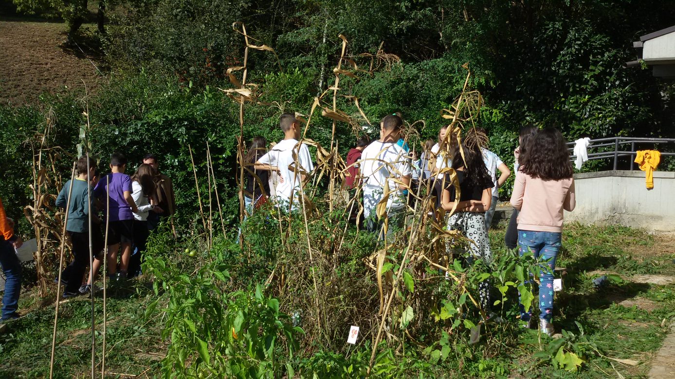 progetto orto 3